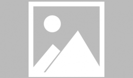 狗狗最新爆料視頻大全圖片,萌寵瞬間大盤點，笑料十足！