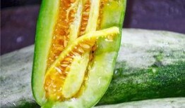 遵義網(wǎng)紅吃瓜,揭秘網(wǎng)絡(luò)紅人的幕后故事