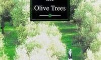 橄欖樹 在線觀看,穿越時空的綠色傳奇