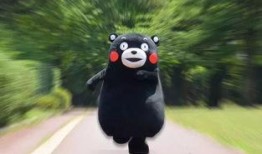 一只光頭鵝爆料視頻,揭秘幕后真相