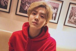 爆料鹿晗為什么喝酒視頻,揭秘背后的原因與心路歷程