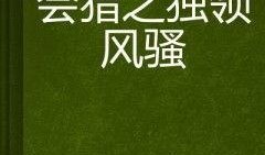 獨領風騷在線觀看,網絡熱劇背后的青春傳奇