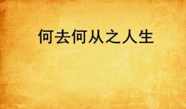 《何去何從》在線觀看,探尋人生抉擇與命運軌跡的抉擇之路