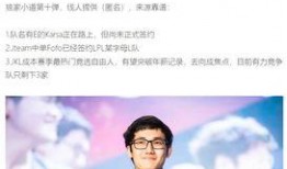 圈內爆料lgd,揭秘戰隊背后的故事與挑戰