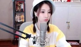 爆料王琳團隊直播回放視頻,精彩瞬間回顧