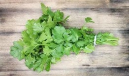 香菜爆料全過(guò)程視頻,揭秘幕后真相