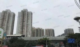 深圳布吉最新爆料,揭秘社區新動態與民生焦點