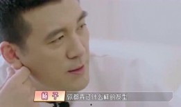 楊媽最新消息爆料,揭秘娛樂圈最新動態與幕后真相