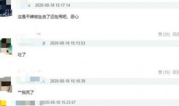 陳赫爆料借錢視頻大全最新,揭秘娛樂圈借款風波背后的真相