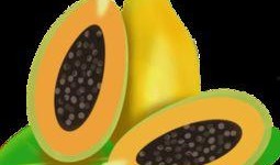 新年吃瓜視頻素材下載免費(fèi),免費(fèi)下載視頻素材，盡享歡樂(lè)時(shí)光