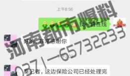 河南保險最新爆料,揭秘行業變革與風險挑戰
