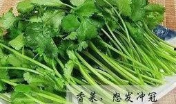香菜爆料全過(guò)程視頻,揭秘幕后真相