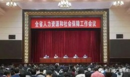 河南保險最新爆料,揭秘行業變革與風險挑戰