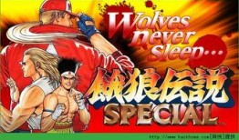 餓狼傳說 在線觀看,熱血激戰(zhàn)，勇者無畏的冒險之旅