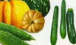 免費在線觀看吃瓜,揭秘熱門事件幕后真相