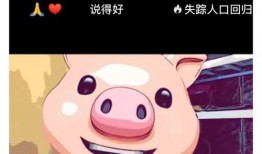 一只光頭鵝爆料視頻,揭秘幕后真相