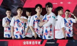 圈內爆料lgd,揭秘戰隊背后的故事與挑戰