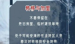最新臺風爆料新聞報道內容,揭秘超強臺風路徑與影響范圍”
