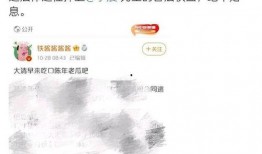 娛樂吃瓜賬號名字大全最新,跟隨最新吃瓜賬號，暢游八卦海洋