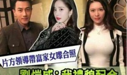 小晴天緋聞爆料視頻播放,真相與謠言的較量