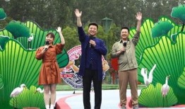 黃陂最新爆料新聞視頻,視頻揭露驚人內幕，事件真相令人震驚！