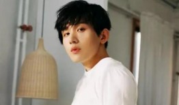 天涯真實爆料成毅視頻,揭秘天涯爆料背后的真實故事