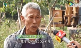 湛江最新農民爆料,揭秘湛江鄉村發展新動態