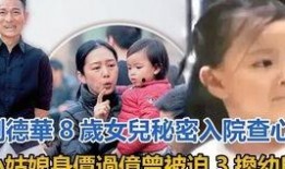 晨媽最新消息爆料,揭秘娛樂(lè)圈最新動(dòng)態(tài)