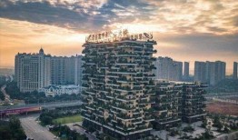 碧桂園房地產(chǎn)最新爆料新聞,揭秘豪宅項(xiàng)目背后的秘密與挑戰(zhàn)