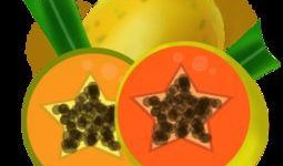 新年吃瓜視頻素材下載免費(fèi),免費(fèi)下載視頻素材，盡享歡樂(lè)時(shí)光