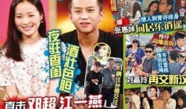 天仙的八卦爆料視頻大全,視頻大全背后的精彩故事