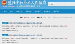 沈陽最新爆料消息