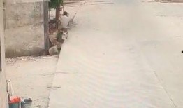 今日揭西爆料視頻最新,最新視頻揭露驚人真相，引發(fā)網(wǎng)友熱議！