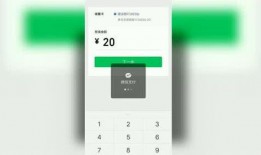 個人爆料視頻最新,個人爆料視頻背后的驚人真相