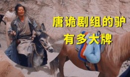 太子爺爆料二驢視頻,二驢視頻背后的驚人真相