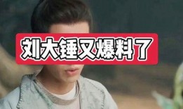 劉大錘爆料陳建斌視頻播放,揭秘幕后真相