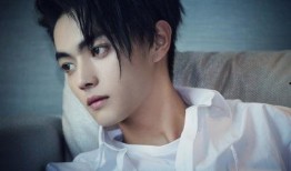 錄音爆料許凱視頻下載安裝,揭秘明星隱私泄露事件