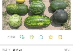 新瓜最新爆料,揭秘娛樂圈最新熱點事件內幕