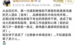 圈內爆料張哲瀚視頻,圈內爆料引發熱議