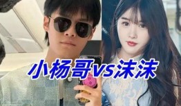 小楊爆料最新視頻,揭秘幕后真相，精彩瞬間不容錯過