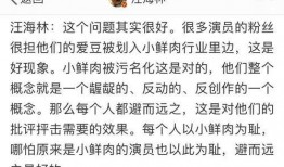 圈內爆料肖戰鹿晗,揭秘娛樂圈的神秘關系網