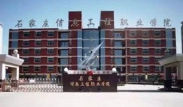 石家莊高校爆料事件視頻,真相與爭議交織