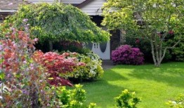 家庭花園爆料視頻大全集,揭秘園藝達人私藏視頻大全集