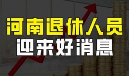 河南保險最新爆料,揭秘行業變革與風險挑戰