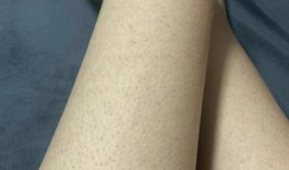 吃雞皮膚最新返廠爆料,揭秘神秘爆料，帶你領略時尚潮流！