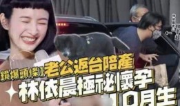 晨媽最新消息爆料,揭秘娛樂(lè)圈最新動(dòng)態(tài)