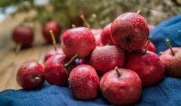 空心山楂爆料視頻播放,視頻爆料背后的真相與爭(zhēng)議