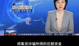 央視新聞爆料王冕視頻,揭秘背后驚人內(nèi)幕