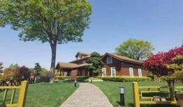 東營旅游爆料最新消息查詢,探秘黃河入海口，體驗生態休閑之旅