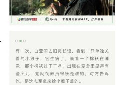 愛回家白天鵝爆料視頻,揭秘劇情背后驚人內幕